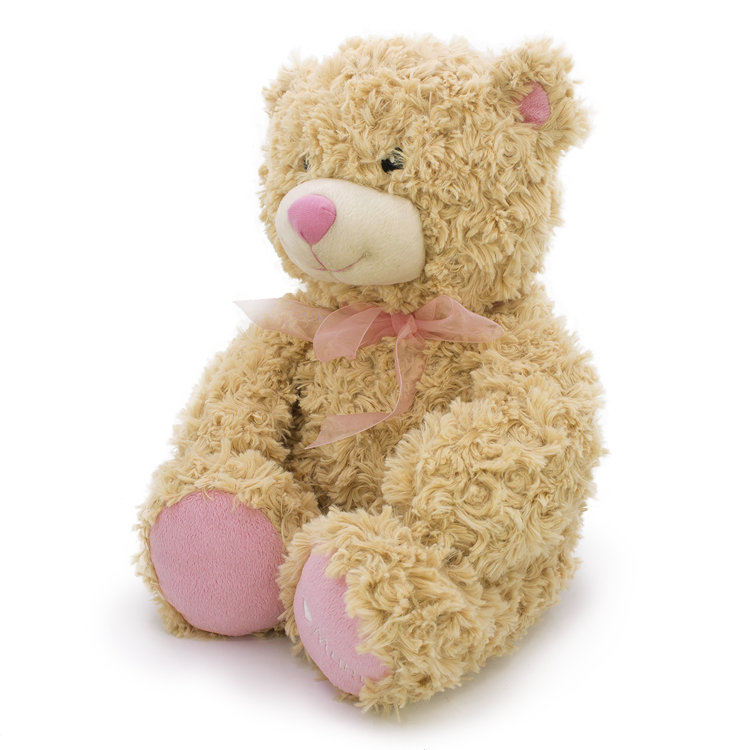 欧美品牌 玫瑰花卷毛绒小熊玩偶 穿衣服熊熊公仔创意生日礼物50cm - 图3