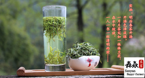 新茶岳西翠兰深山农家绿茶明后雨前春茶半斤装青天茶 - 图1