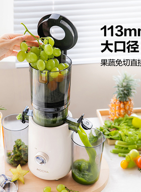 摩卡Mocha榨汁机汁渣分离大口径
