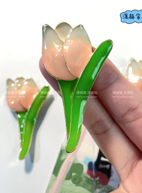 创意文艺清新郁金香冰箱贴磁贴铁质洞洞黑板固定留言贴吸力磁吸扣