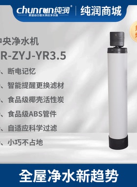 纯润大通量全屋中央水处理净水器