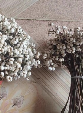 小白果乌桕果干花diy手工花束插花松树装饰树枝植物圣诞树北欧风