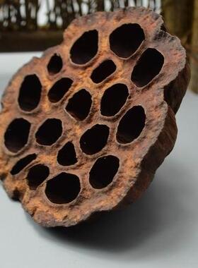 天然干莲蓬干花原生态莲蓬摆设干花拍摄道具艺术造型莲蓬绘画素材