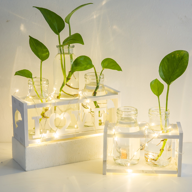 创意水培小花瓶透明玻璃水养绿萝植物花盆桌面装饰办公室摆件插花