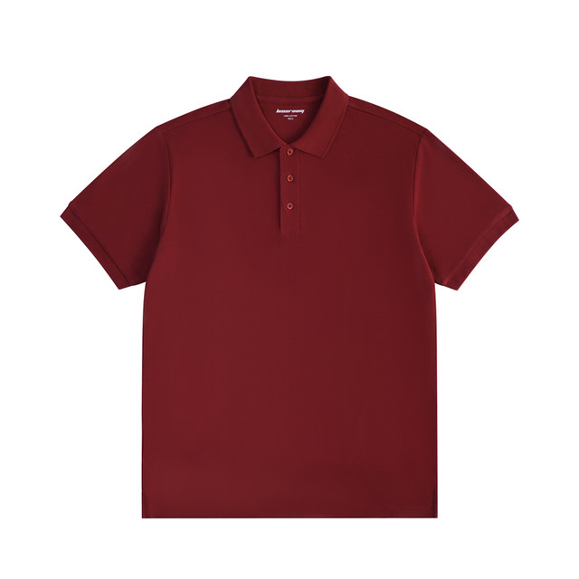 Basic men's polo shirt summer short-sleeved T-shirt commuting casual solid color popular lapel Paul shirt 2025 new T-shirt