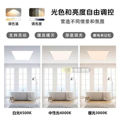 接入米家无边框平板灯300*600集成吊顶灯厨房智能调光调色厨卫灯 - 图3
