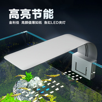 Golden Lijia fish tank lamp led waterproof and energy saving small lighting lamp straw cylinder light water grass water communal lighting tube spotlight clip lamp