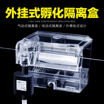 Fish tank hanging type isolation box bred box hatching box feeding box pneumatically electric type isolated peacock fish breeding