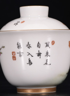 大清雍正御制洋彩粉彩珐琅彩折枝花鸟语花香纹本色真金盖碗茶杯