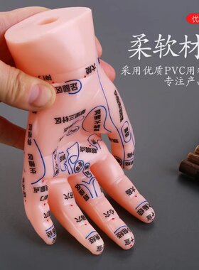 按摩手模型反射区人体针灸模型男女穴位经络针灸中医教学图17厘米