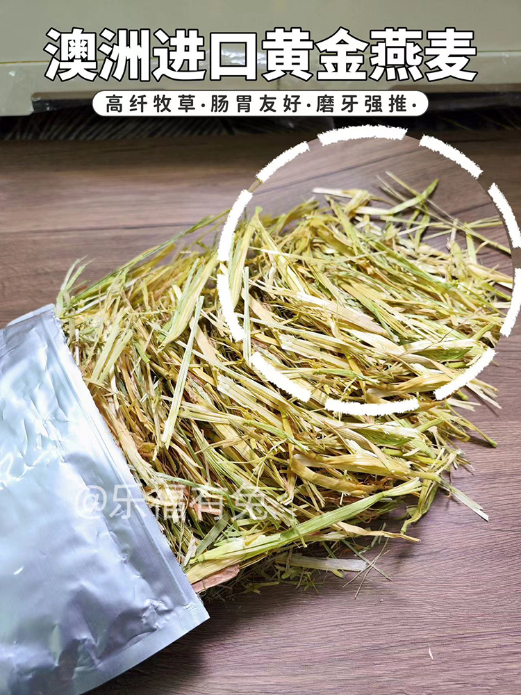 澳洲进口黄金燕麦草 澳麦手挑普筛 兔子豚鼠龙猫主草500g一番二压 - 图3