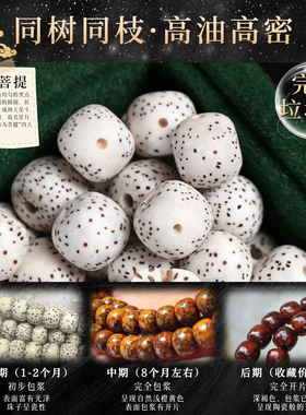 毕业级大留白原生态海南星月A+级菩提子手串单圈顺百文玩手链时尚