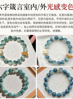 2026高档光感变色六字箴言菩提手串本命十二生肖佛珠双圈文玩手链