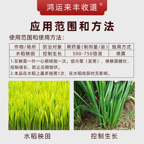 国光正品多效唑多效挫矮化剂矮壮植株水稻秧田控旺植物生长调节剂 - 图1