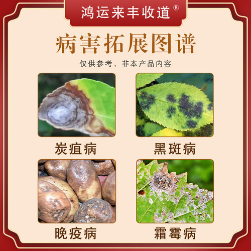 80%代森锌蓝粉早疫病炭疽病锈病叶斑病植物果树通用杀菌剂1000克 - 图0