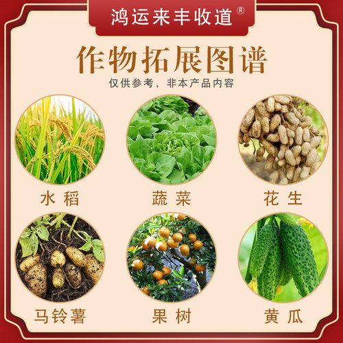 80%代森锌蓝粉早疫病炭疽病锈病叶斑病植物果树通用杀菌剂1000克 - 图1