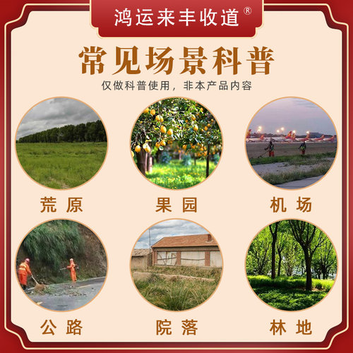 金帆达草甘磷68%草甘膦铵盐果园柑橘园除草烂根剂除草剂757杀草剂 - 图1