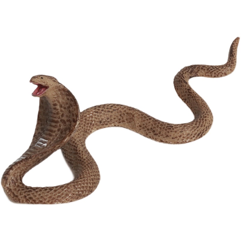 单个仿真动物玩具爬行模型实心摆件眼镜蛇青蛙变色龙蜥蜴蟒蛇蜗牛 - 图3