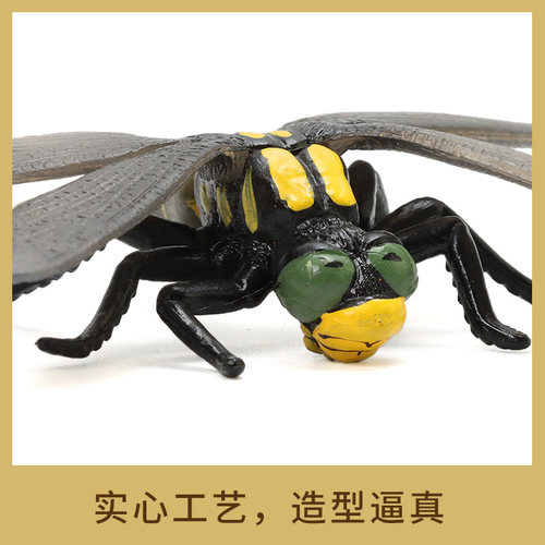 单个仿真动物昆虫模型蚊子七星瓢虫蝴蝶蜜蜂蟋蟀蜘蛛蜻蜓螳螂蝎子 - 图2