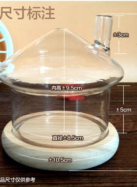 永生花小多肉送朋友手办摆件包邮