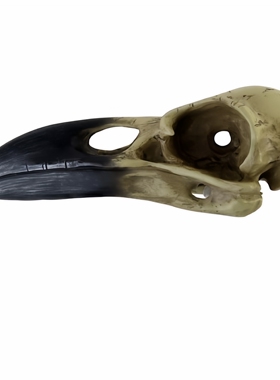 Alchemy V16 CORVUS ALCHEMICA 乌鸦头骨哥特风家居摆件墙挂