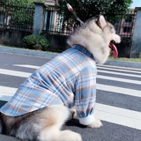 Pet Custom Color Crown Strip Grid Grid Шерстяная шерстяная юбка двойная слоя плюс бархатная плюшевая кошка Золотые волосы Аляска