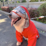 Pet Parent -Child Custom Куртка Пейнкота Водонепроницаемость нелегко придерживаться плюшевой кошки Золотые волосы Аляска