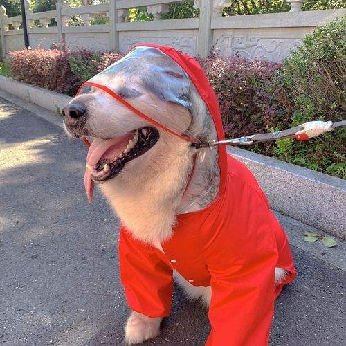 Pet Parent -Child Custom Куртка Пейнкота Водонепроницаемость нелегко придерживаться плюшевой кошки Золотые волосы Аляска