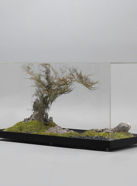 新中式风永生苔藓亚克力大堂干花