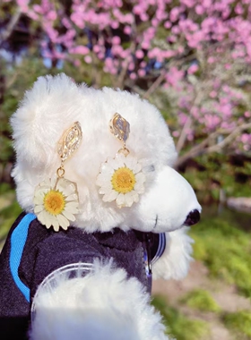 雏菊真花手作私人定制