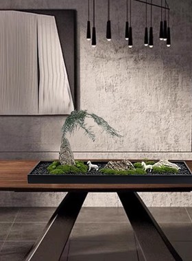 永生苔藓干文竹绿植微景观餐厅长餐桌会议室茶室酒店民宿家居摆件