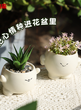 情绪小花盆呆萌表情可爱卡通盆栽