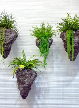 wo+假石头悬挂垂吊绿植橱窗布置