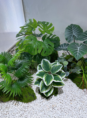 wo+仿真天堂鸟树芭蕉叶绿植堆景