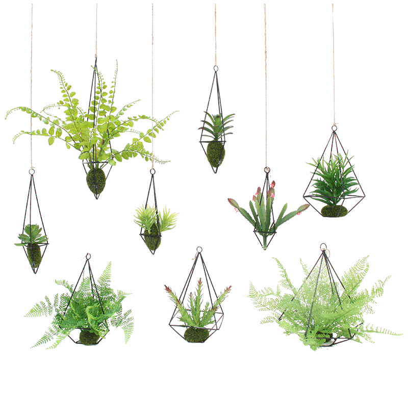 吊挂植物屋内装饰墙面挂件宿舍装饰悬挂绿植物小盆栽垂吊吧台吊饰 虎窝淘