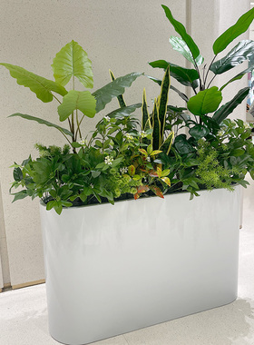 wo+龟背绿植混搭仙人掌花箱搭配