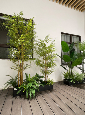 wo+仿真散尾葵竹子绿植花槽搭配