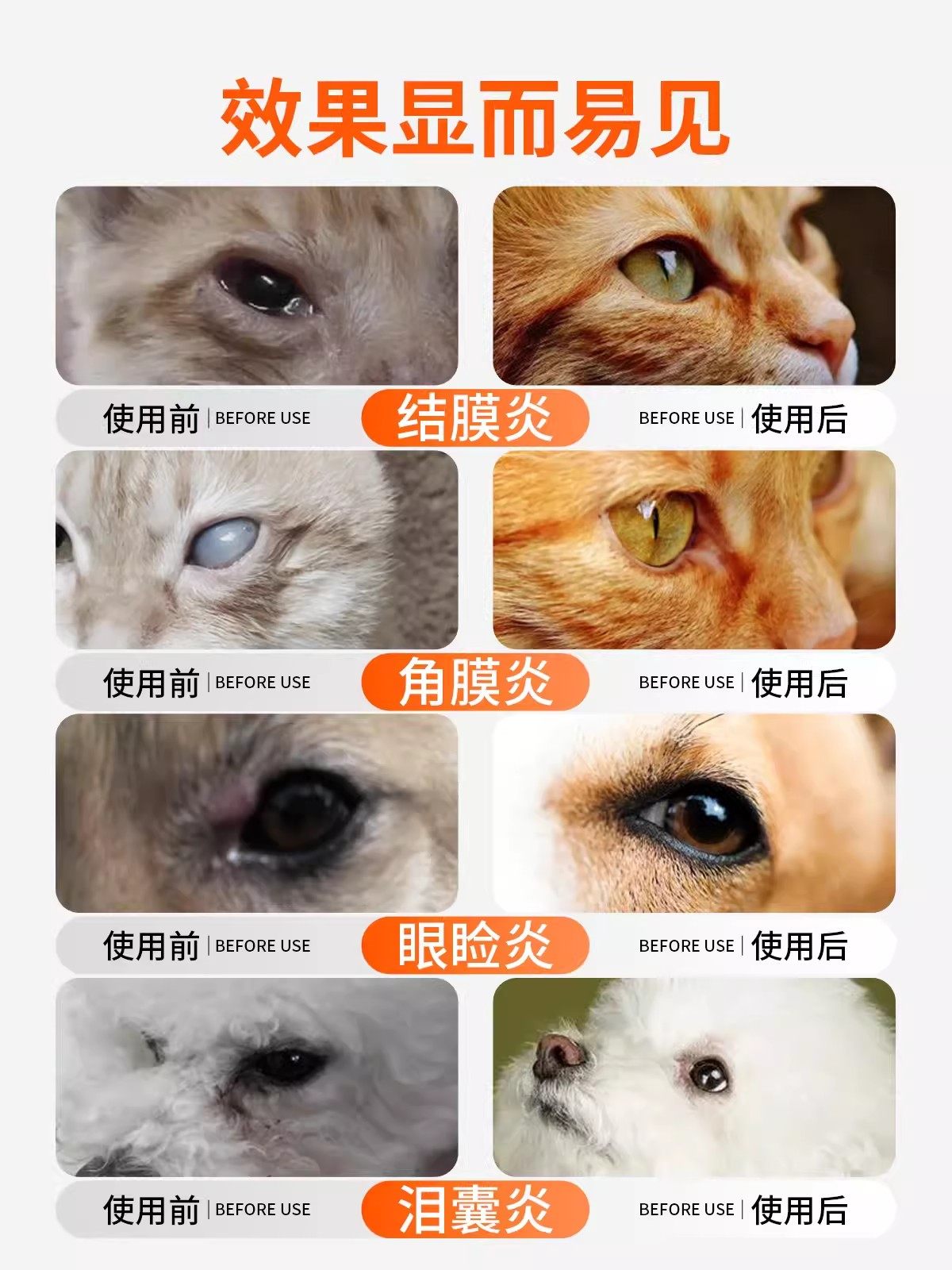中农瑞支康恩诺沙星猫咪猫鼻支打喷嚏结膜炎角膜炎杯状泛昔滴眼液,淘宝优惠券,粉丝福利购,淘宝优惠卷