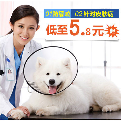 宠物伊丽莎白圈猫狗皮肤病保护套犬猫防抓挠脖圈防咬防舔圈耻辱罩 - 图3