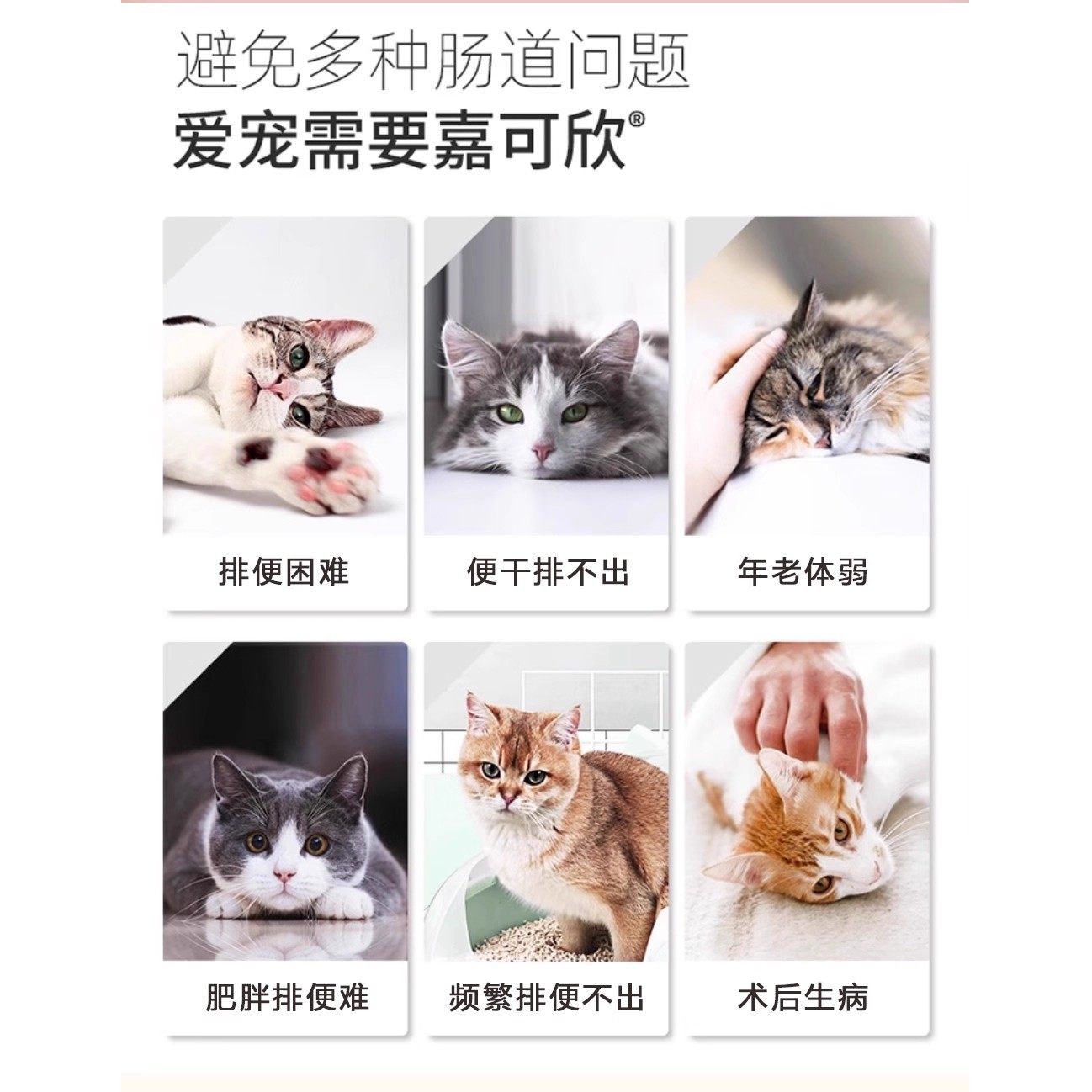 中农嘉可欣宠物茹乳果糖猫狗宠果糖猫咪肠胃调理排毛球犬猫肠通便,淘宝优惠券,粉丝福利购,淘宝优惠卷