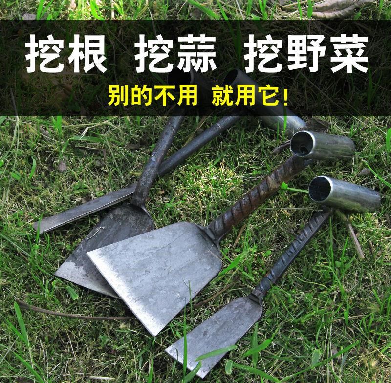 野菜土 新人首单立减十元 21年7月 淘宝海外