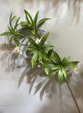 仿真水石榕花叶北欧绿植小清新手感植物装饰摆件婚庆摄影造景假花
