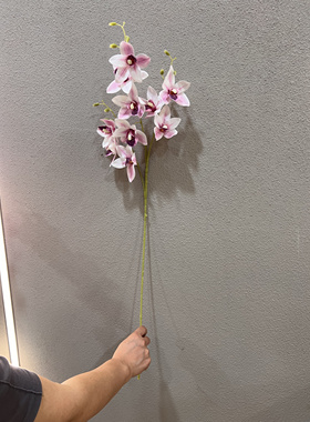 仿真兰花万代兰泰兰手感绢花假花室内餐桌摆放花样板房插花