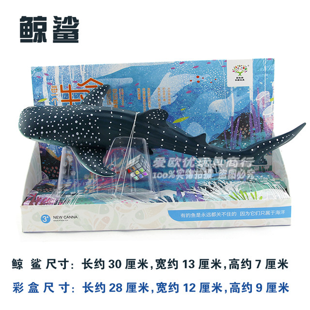 Soft plastic science and education doll killer whale static dolphin great white shark