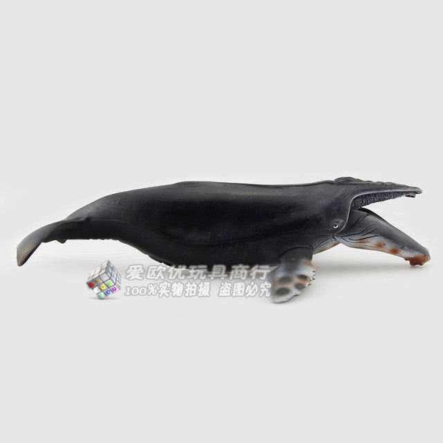 Solid static shark model children's educational toy