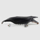 Solid static shark model children's educational toy