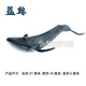 Static solid shark toy model whale octopus