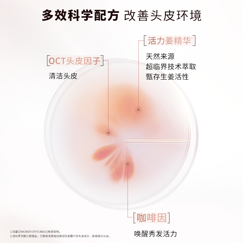 欧莱雅生姜洗发水护发素洗护套装强韧发根无硅油洗头水洗发露正品,淘宝优惠券,粉丝福利购,淘宝优惠卷