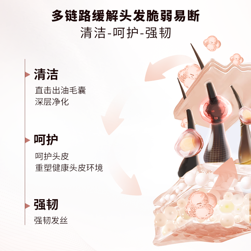 欧莱雅生姜洗发水护发素洗护套装强韧发根无硅油洗头水洗发露正品,淘宝优惠券,粉丝福利购,淘宝优惠卷