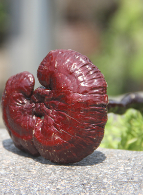 带柄灵芝文房清供禅意摆件